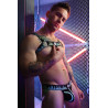 Breedwell Harnais Equalizer Noir-Vert neon